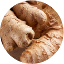 Ginger Root